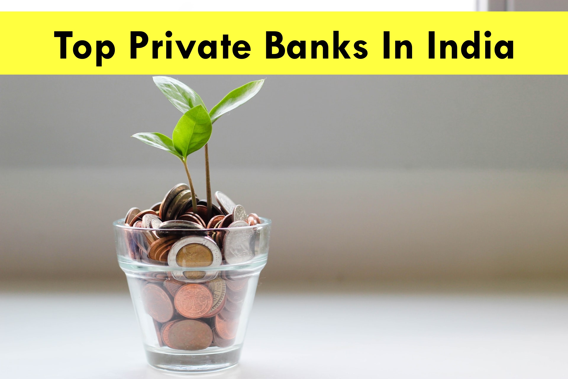 Top Private Banks In India